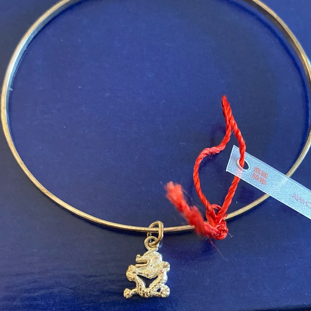 NEW silver plated dragon charm on silver adjustable bracelet